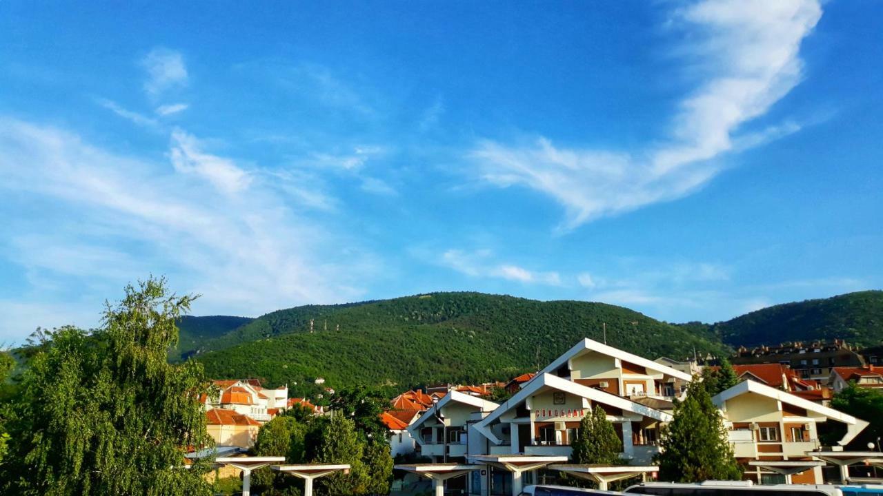 Vila Simic Soko Banja Exterior photo